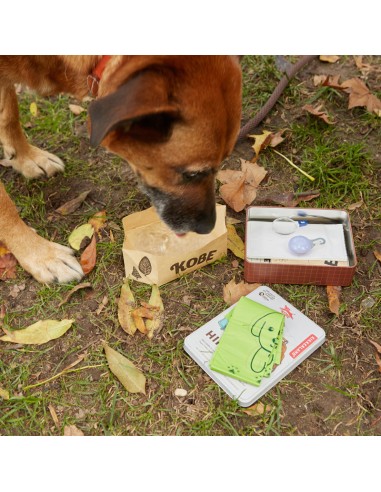 Kit de senderismo PERRO