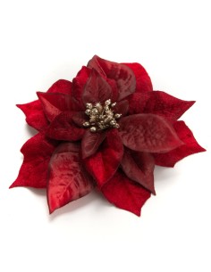 Flor de Pascua clip
