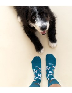 Amor Perruno Azul 2